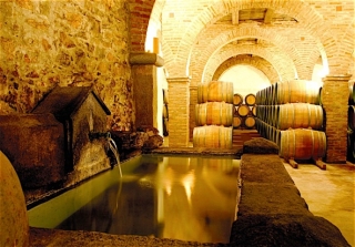 manantial natural de la bodega